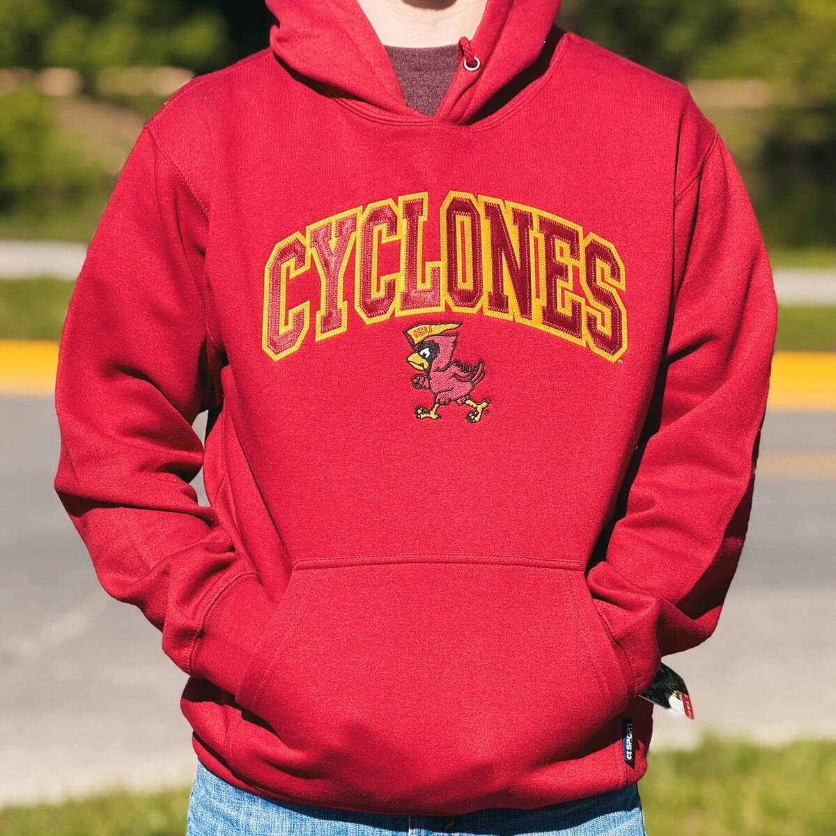 CI Sport Pennant Cy Cardinal HW Hooded Sweatshirt design close up